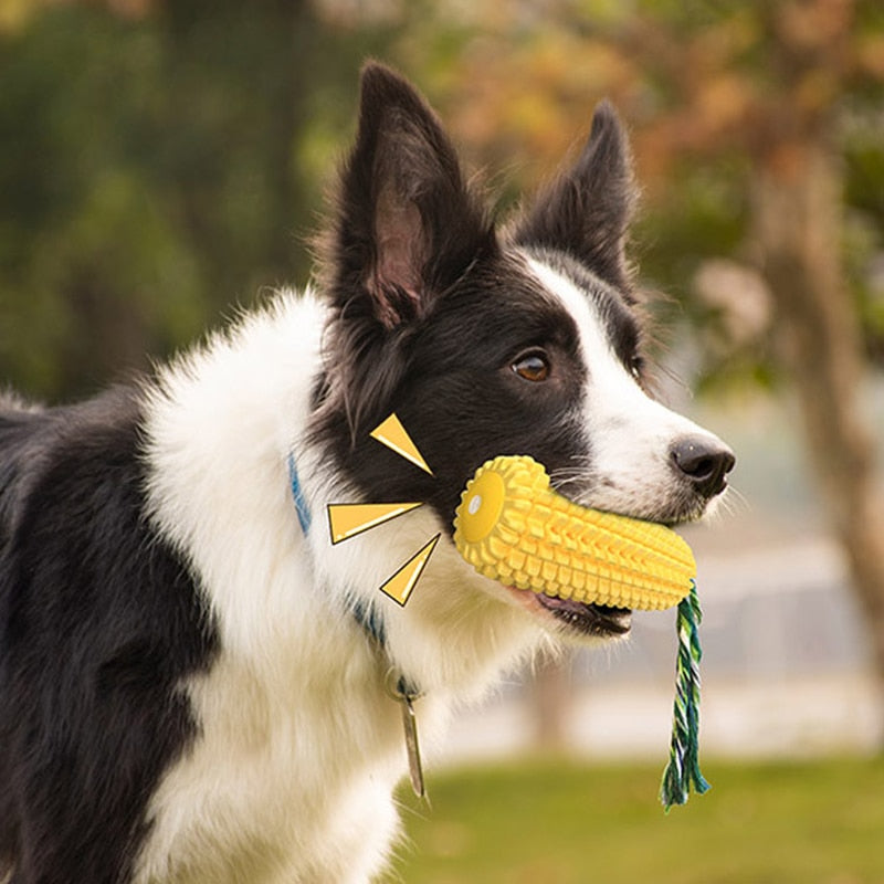 HOOPET Pet Dog Toys Dog Molar Stick Toy Funny Interactive Dog Chew Toy For Dog Tooth Clean Corn Molar Stick Pet Dog Teeth Brush