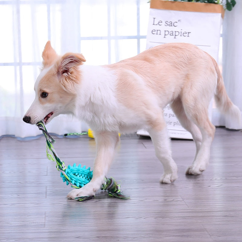 HOOPET Pet Dog Toys Dog Molar Stick Toy Funny Interactive Dog Chew Toy For Dog Tooth Clean Corn Molar Stick Pet Dog Teeth Brush